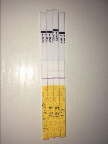 journal_insert_pic_494743780