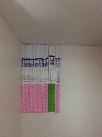 journal_insert_pic_495404764