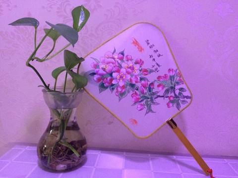 journal_insert_pic_494866234