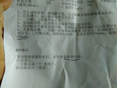 journal_insert_pic_495580843