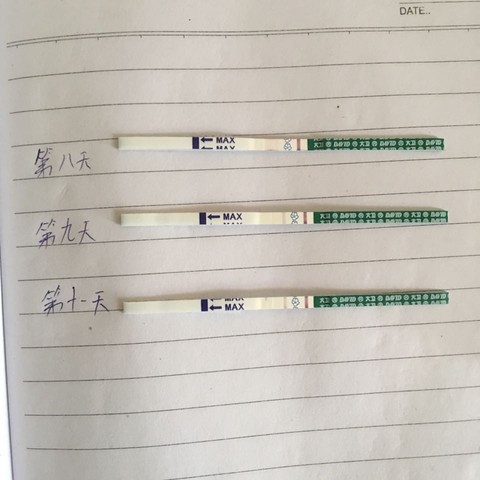 journal_insert_pic_496632371