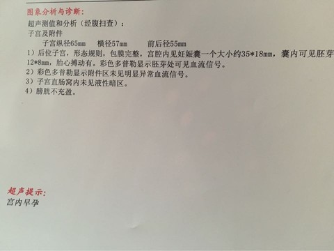 journal_insert_pic_497061880
