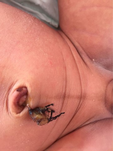 journal_insert_pic_497810415