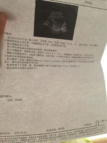 journal_insert_pic_500158130