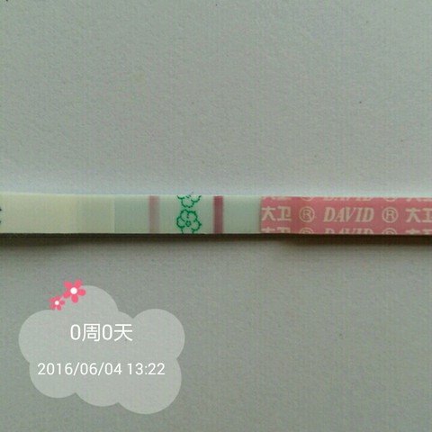 journal_insert_pic_500464694
