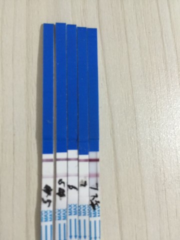journal_insert_pic_500356858