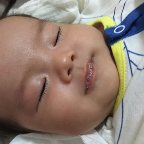 journal_insert_pic_501342090