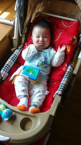 journal_insert_pic_502563774