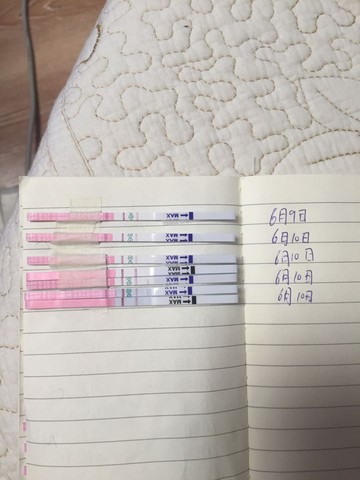journal_insert_pic_502826480