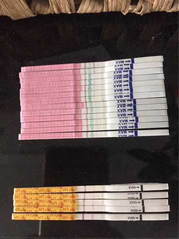 journal_insert_pic_503158330