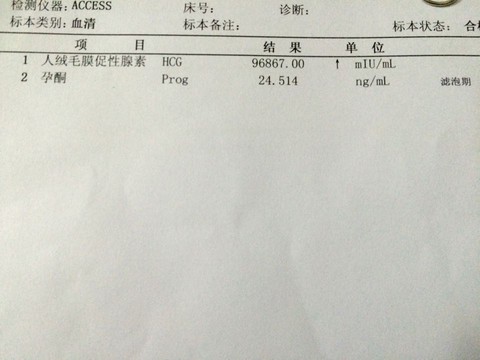journal_insert_pic_505980415