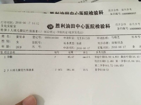 journal_insert_pic_508143306