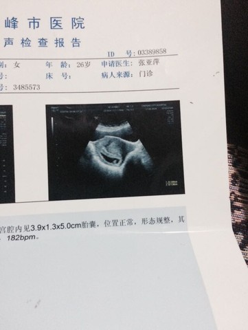journal_insert_pic_508240935