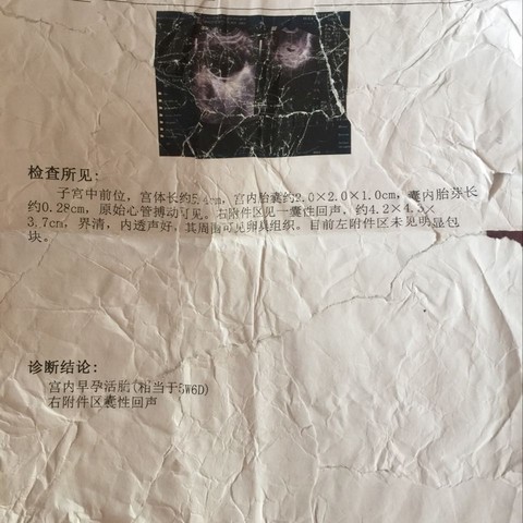 journal_insert_pic_508638842