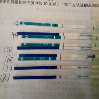 journal_insert_pic_508693009