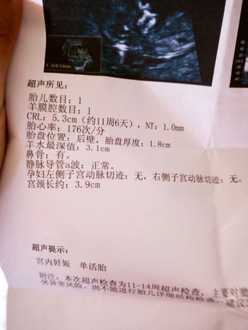 journal_insert_pic_509553432