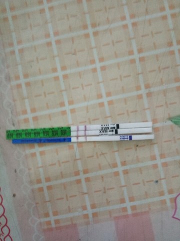 journal_insert_pic_509312107
