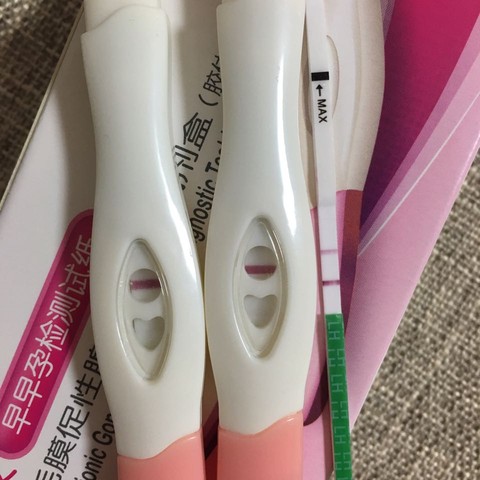 journal_insert_pic_511637857