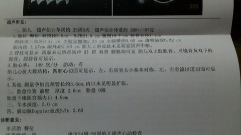 journal_insert_pic_511558283