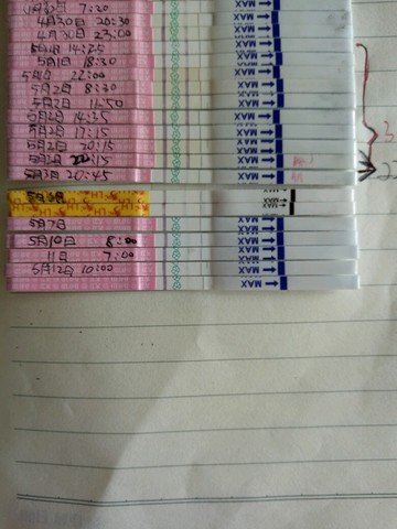 journal_insert_pic_511000882