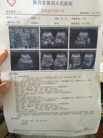 journal_insert_pic_512005554