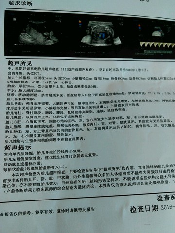 journal_insert_pic_512999445