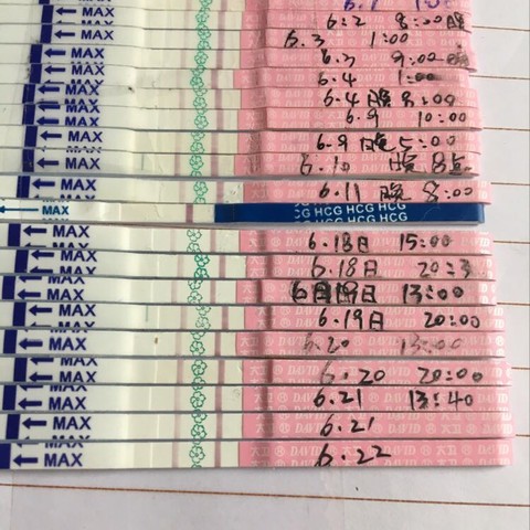 journal_insert_pic_513047592