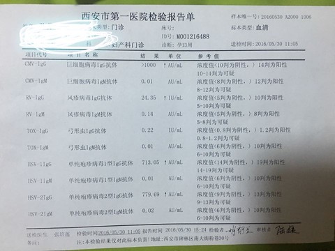 journal_insert_pic_513170587