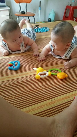 journal_insert_pic_512915754