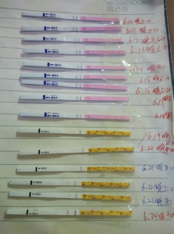 journal_insert_pic_514265730