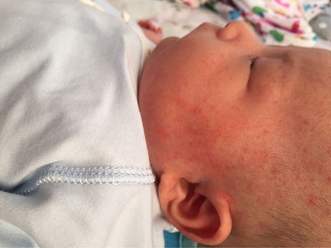 journal_insert_pic_514601763