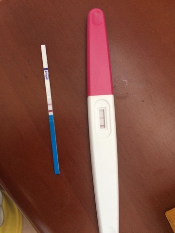 journal_insert_pic_514604955