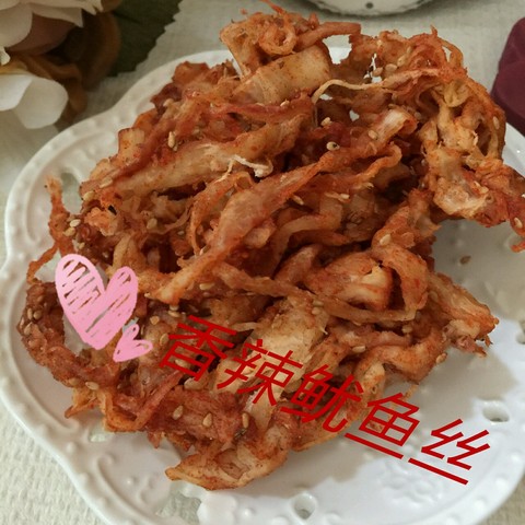 journal_insert_pic_515357893