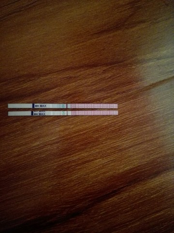 journal_insert_pic_515673988