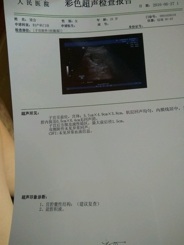 journal_insert_pic_515838079
