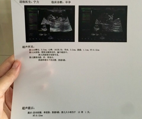 journal_insert_pic_515837016