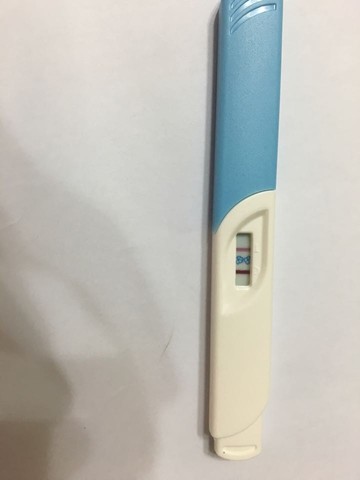 journal_insert_pic_516990395