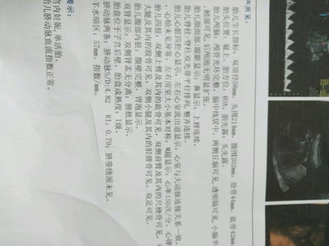 journal_insert_pic_516466475