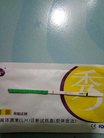 journal_insert_pic_516871567