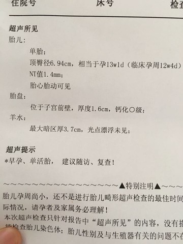 journal_insert_pic_516618482