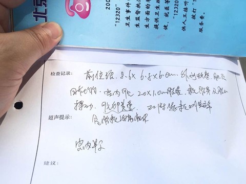 journal_insert_pic_519505225