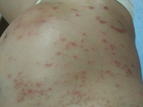 journal_insert_pic_521335103