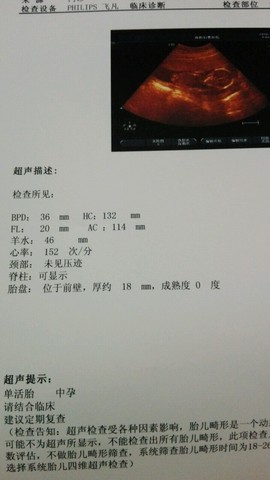 journal_insert_pic_520606960