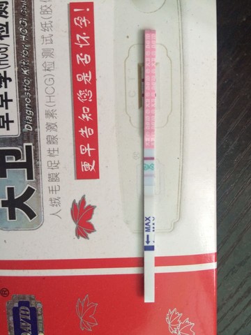 journal_insert_pic_521203058