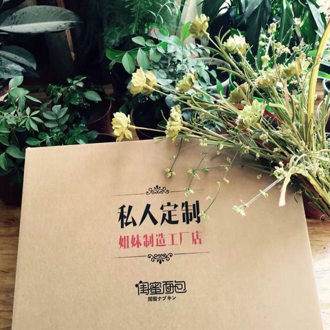 journal_insert_pic_521759380