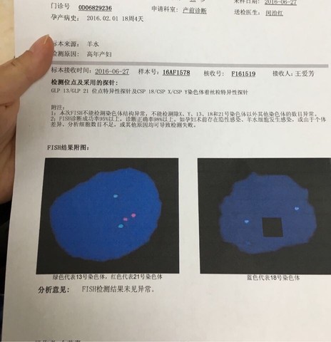 journal_insert_pic_522629589
