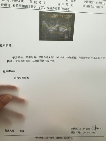 journal_insert_pic_522660131