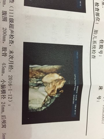 journal_insert_pic_523677925