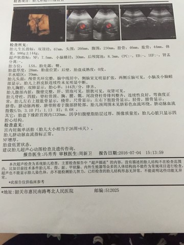 journal_insert_pic_523372716