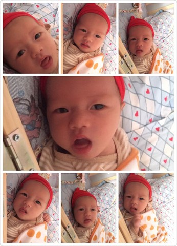 journal_insert_pic_524438828
